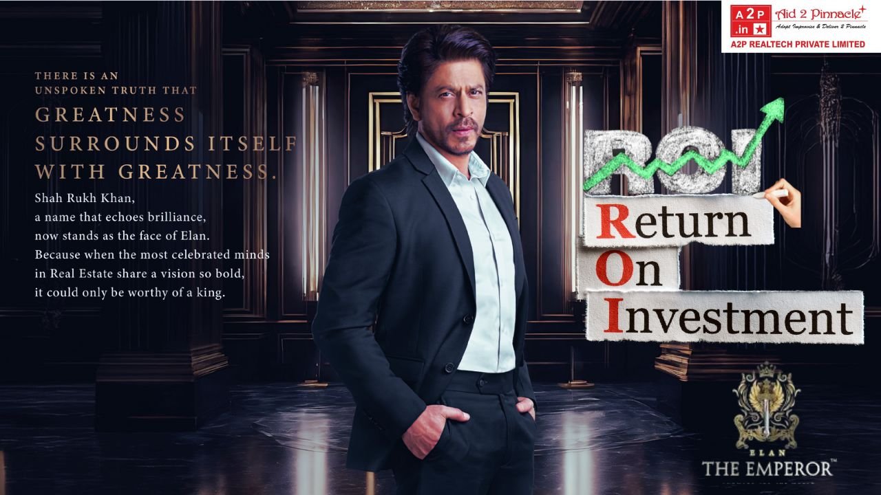 A Comprehensive Guide to Investing in Elan The Emperor